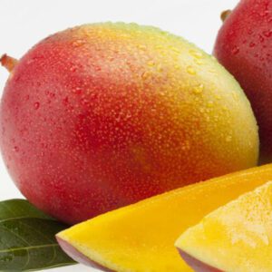 Mangue