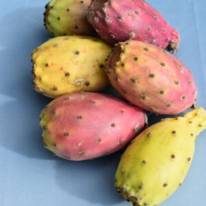 Pitahaya