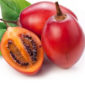 Tamarillo