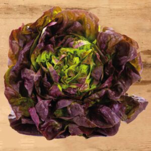 salade pommée rouge