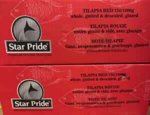 TILAPIA ROUGE 750/1000 KG