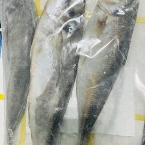 Horse Mackerel / Tomson 8kg cartons Compesma